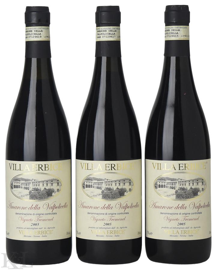 2005 Villa Ebrice "Vigneto Tremenel" Amarone della Valpolicella