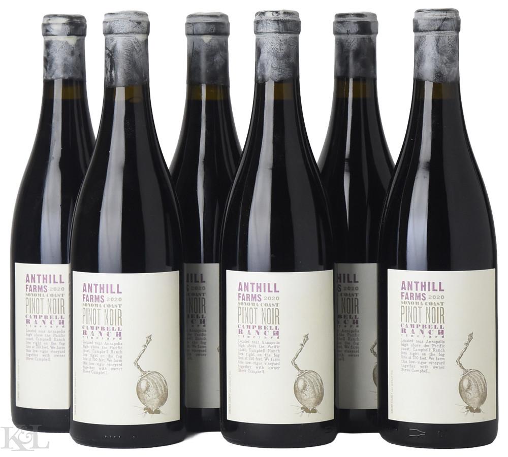 2020 Anthill Farms "Campbell Ranch Vineyard" Sonoma Coast Pinot Noir
