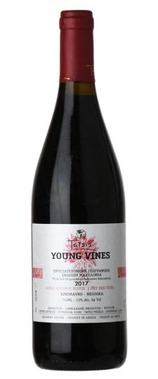 2017 Domaine Tatsis "Young Vines" Xinomavro-Negoska Macedonia Greece (Natural Wine)