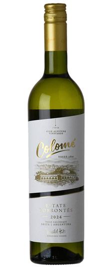 2024 Colomé Torrontes Valle Calchaquí Salta