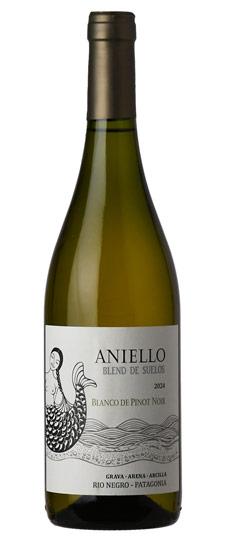 2024 Aniello Blanco de Pinot Noir Rio Negro Patagonia