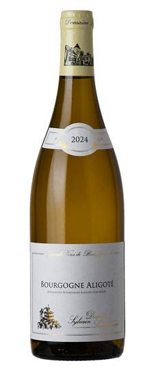 2024 Domaine Sylvain Langoureau Bourgogne Aligoté