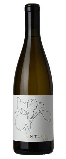 2023 Continuum "Sentium" Mendocino Sauvignon Blanc