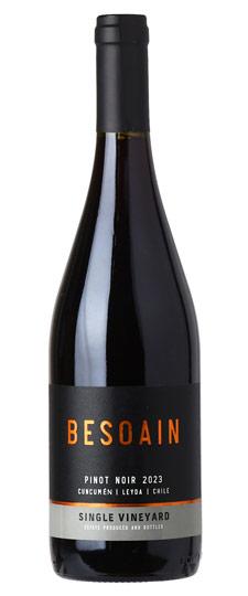 2023 Besoain "Single Vineyard" Pinot Noir Leyda