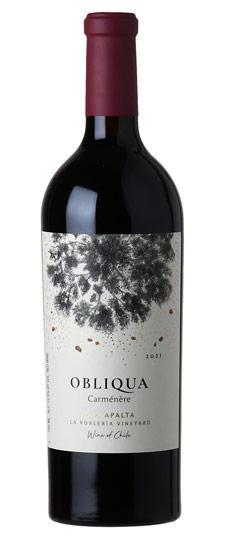 2021 Ventisquero "Obliqua" Carménère Valle de Colchagua