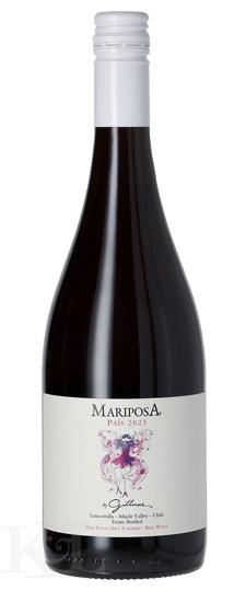 2023 Gillmore "Mariposa" Pais Maule Valley