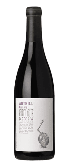 2022 Anthill Farms "Campbell Ranch" Sonoma Coast Pinot Noir