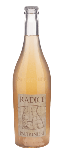 2024 Paltrinieri "Radice" Lambrusco di Sorbara