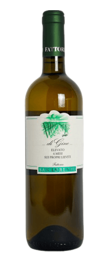2024 San Lorenzo "Vigna di Gino" Verdicchio dei Castelli di Jesi Classico