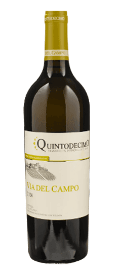 2024 Quintodecimo "Via del Campo" Falanghina Irpinia