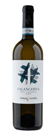 Fontanavecchia "Bjondore" Falanghina del Sannio
