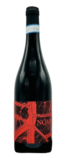 2024 Noah "Rossonoah" Costa della Sesia Nebbiolo
