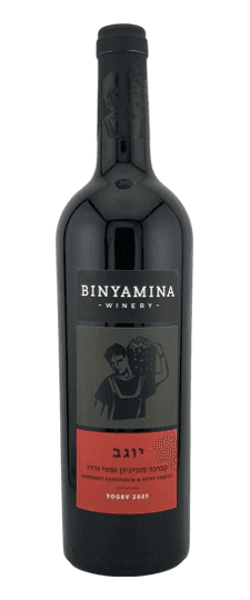 2023 Binyamina Winery Yogev Cab Sauv and Petit Verdot (Kosher for Passover)