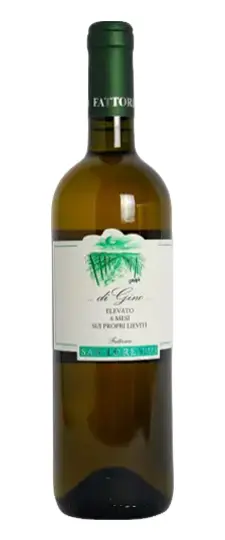 2025 San Lorenzo "Vigna di Gino" Verdicchio dei Castelli di Jesi Classico