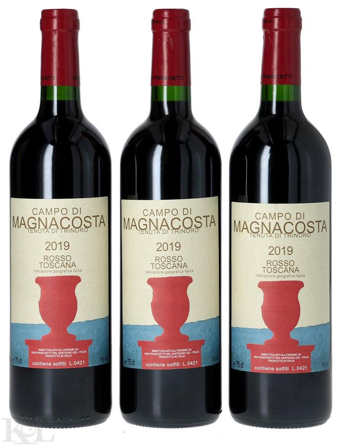 2019 Tenuta di Trinoro Magnacosta