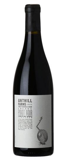 2022 Anthill Farms "Comptche Ridge Vineyard" Mendocino County Pinot Noir