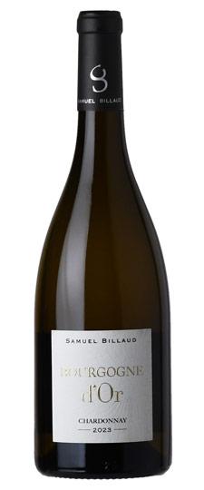 2023 Samuel Billaud Bourgogne d'Or Chardonnay