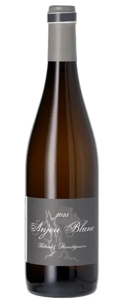 2023 Thibaud Boudignon Anjou Blanc