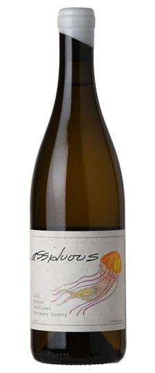 2023 Assiduous "Mesa Del Rio Vineyard" Monterey County Grüner Veltliner