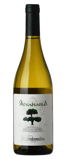 2024 Mastroberardino "Morabiancai" Falanghina