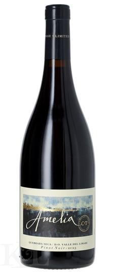 2023 Concha y Toro "Amelia" Pinot Noir Limarí