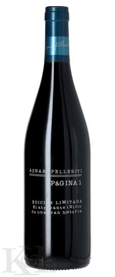 2013 Abremundos Aznar Pelleriti "Página Uno - Edicion Limitada" Red Blend Valle de Uco