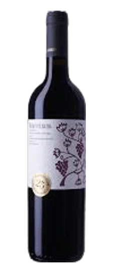 2016 Montevetrano Colli Di Salerno