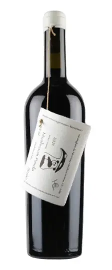 2023 Fabio Gea "Mushroom Panda" Dolcetto Nebbiolo Vino Rosso Piemonte