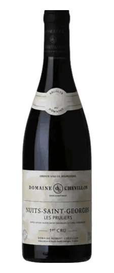 2024 Domaine Robert Chevillon Nuits-St-Georges 1er Cru "Les Pruliers"