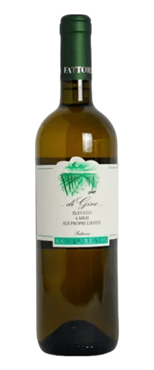 2025 San Lorenzo "Vigna di Gino" Verdicchio dei Castelli di Jesi Classico