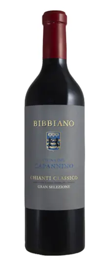 2011 Bibbiano "Vigna Capannino" Chianti Classico Gran Selezione
