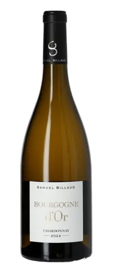 2024 Samuel Billaud Bourgogne d'Or Chardonnay